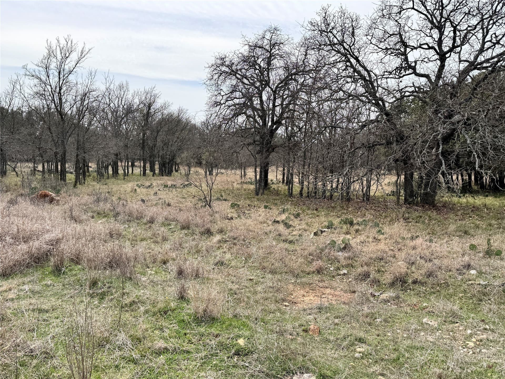 0.15 acres in Brown County featured view