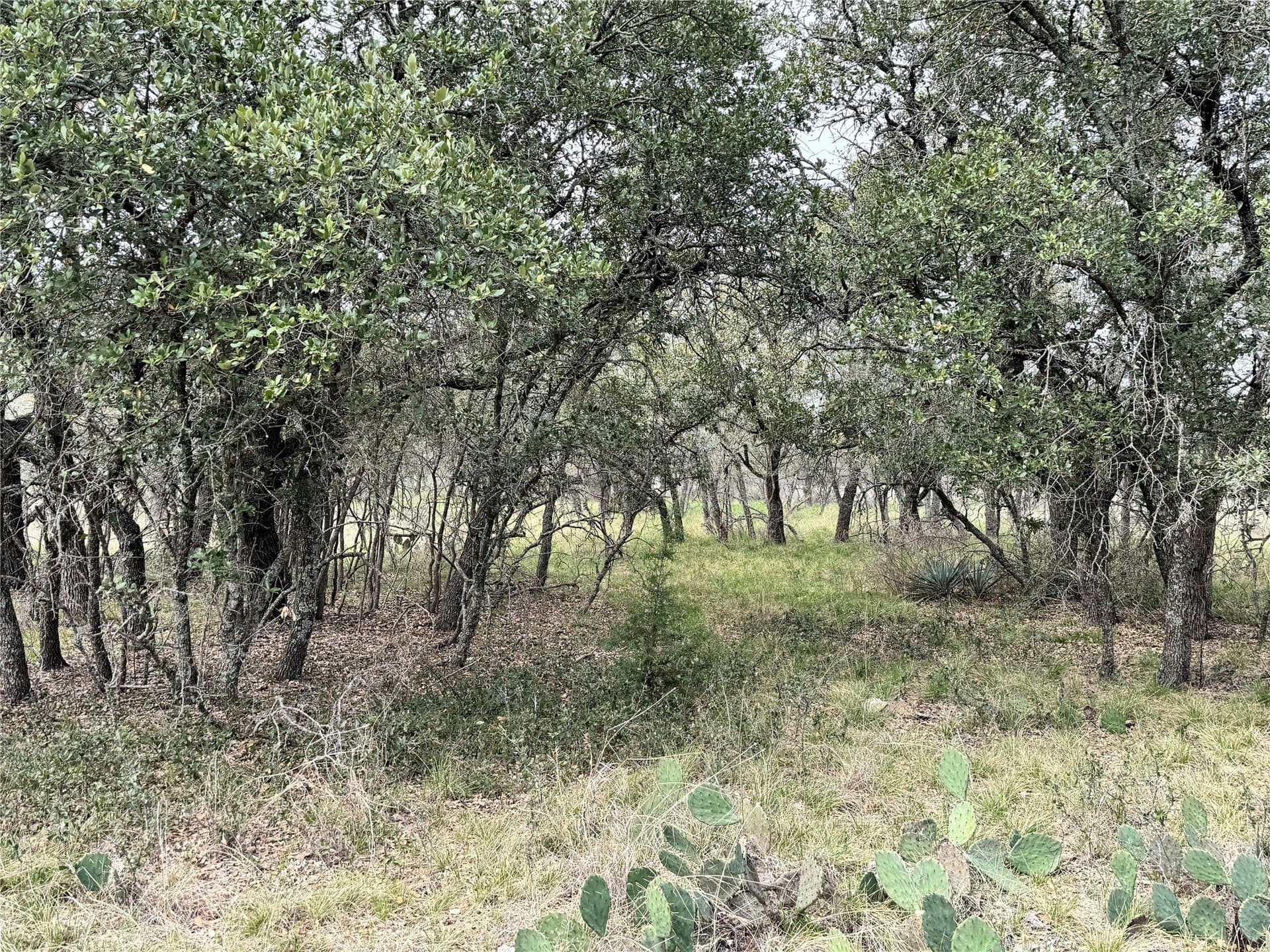 0.15 acres in Brown County - photo 13