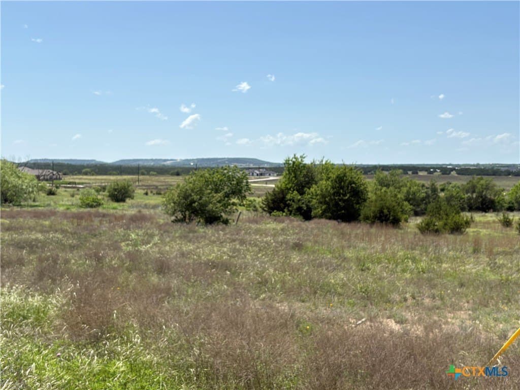4.13 acres in Coryell County gallery image 3