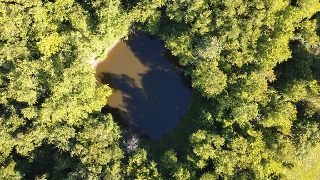 14.03 acres in Hopkins County gallery image 4
