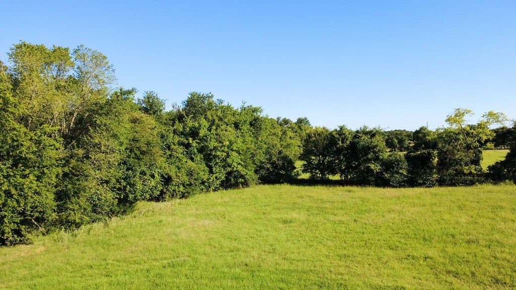 14.03 acres in Hopkins County - photo 14