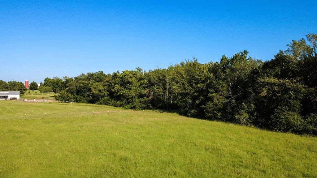 14.03 acres in Hopkins County gallery image 3