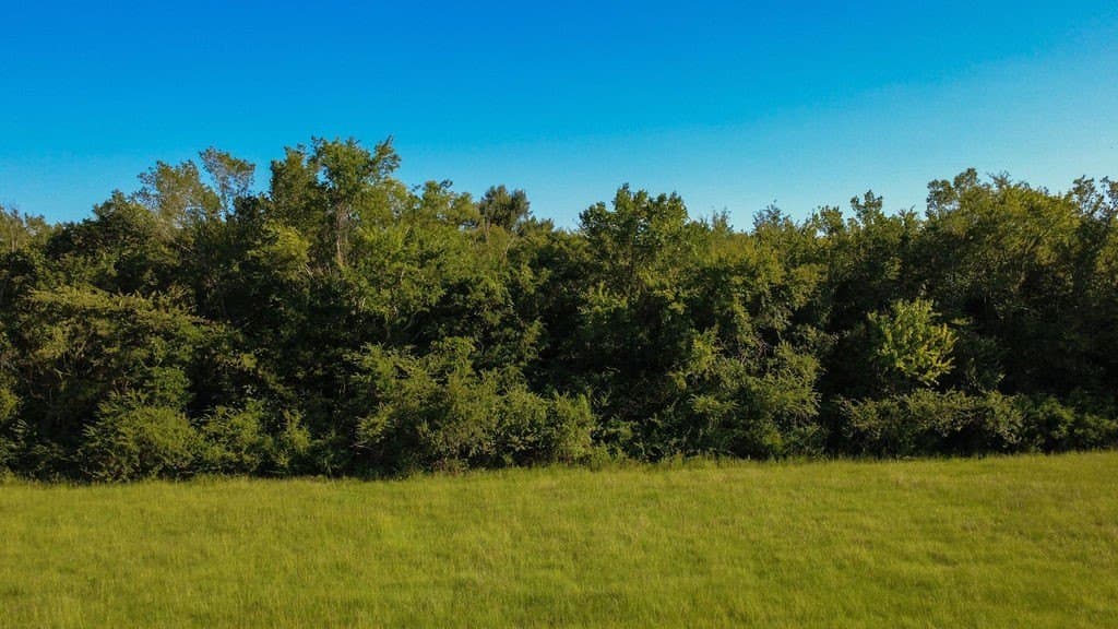 14.03 acres in Hopkins County featured view
