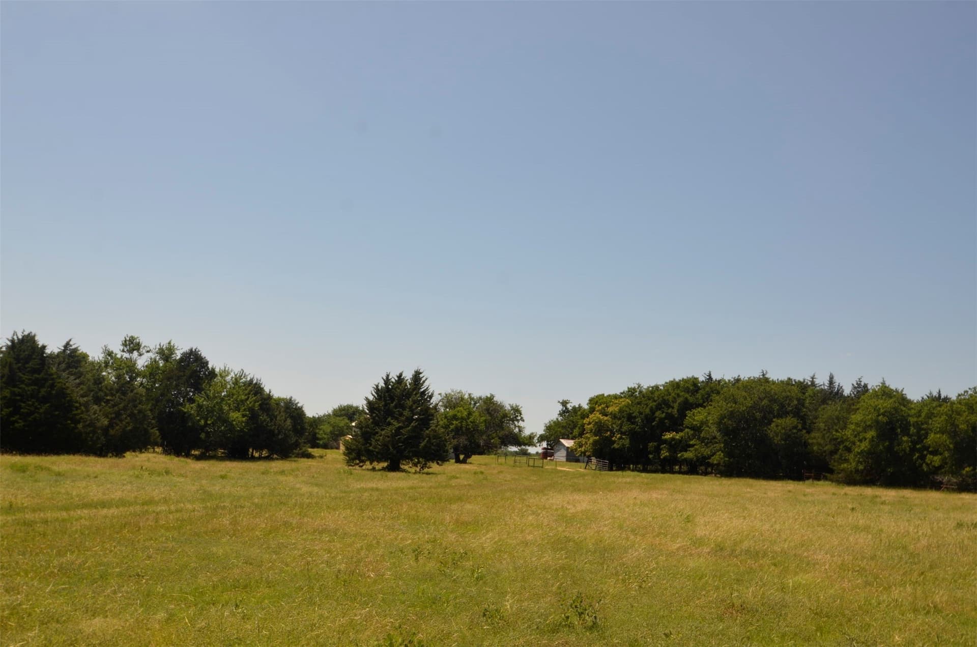 21.54 acres in Grayson County gallery image 4