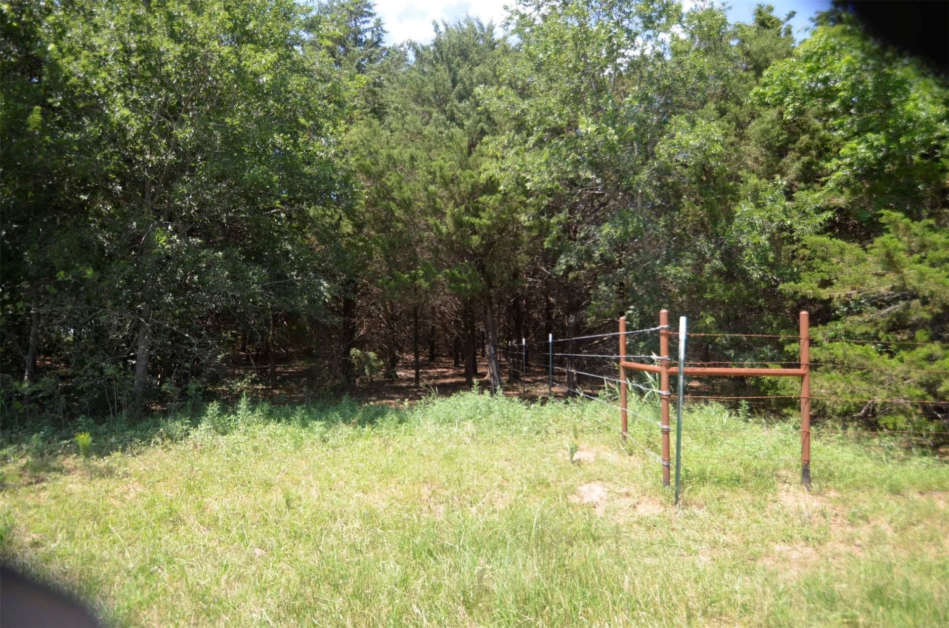 21.54 acres in Grayson County gallery image 2