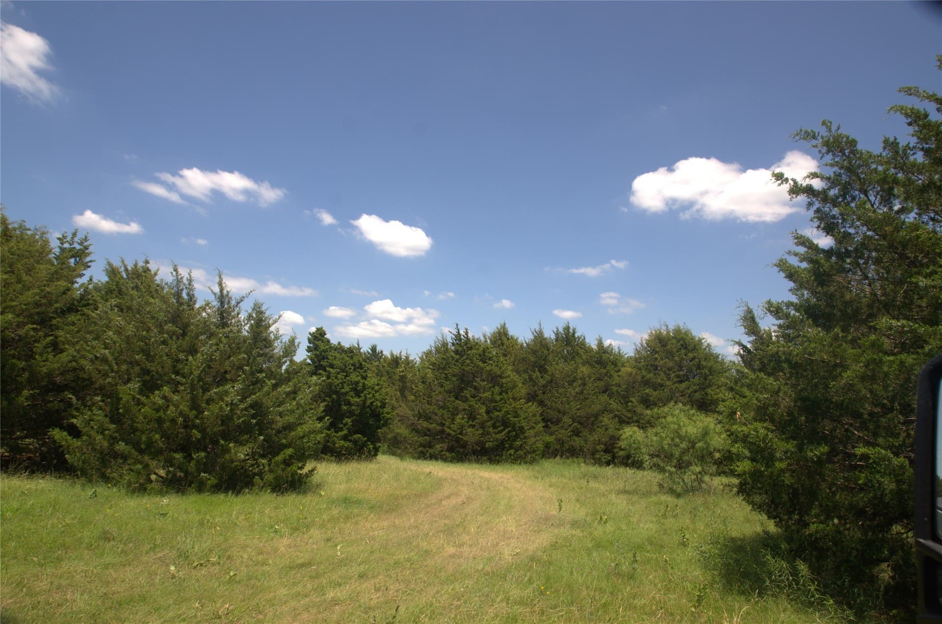 21.54 acres in Grayson County - photo 8