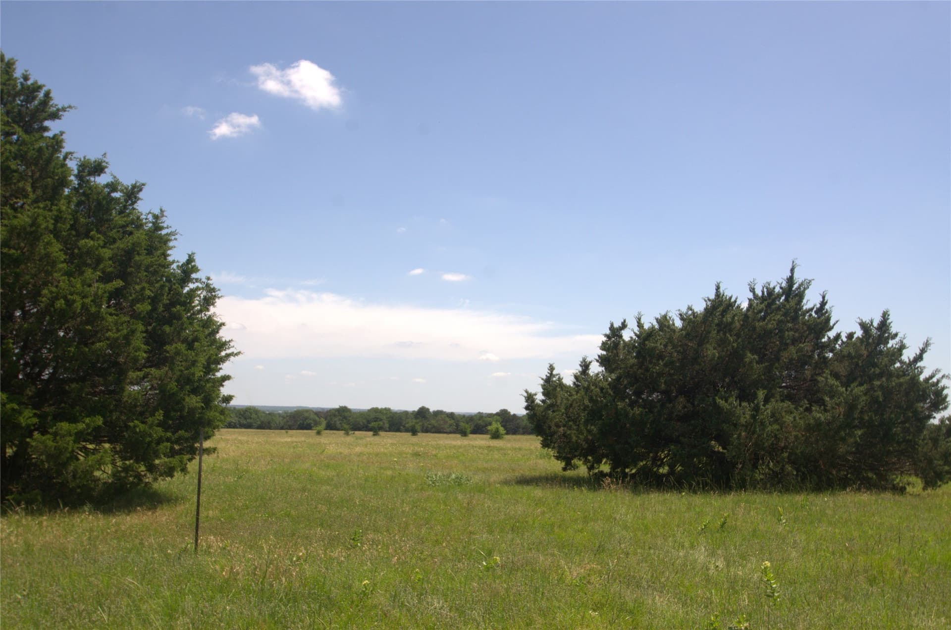 21.54 acres in Grayson County - photo 12
