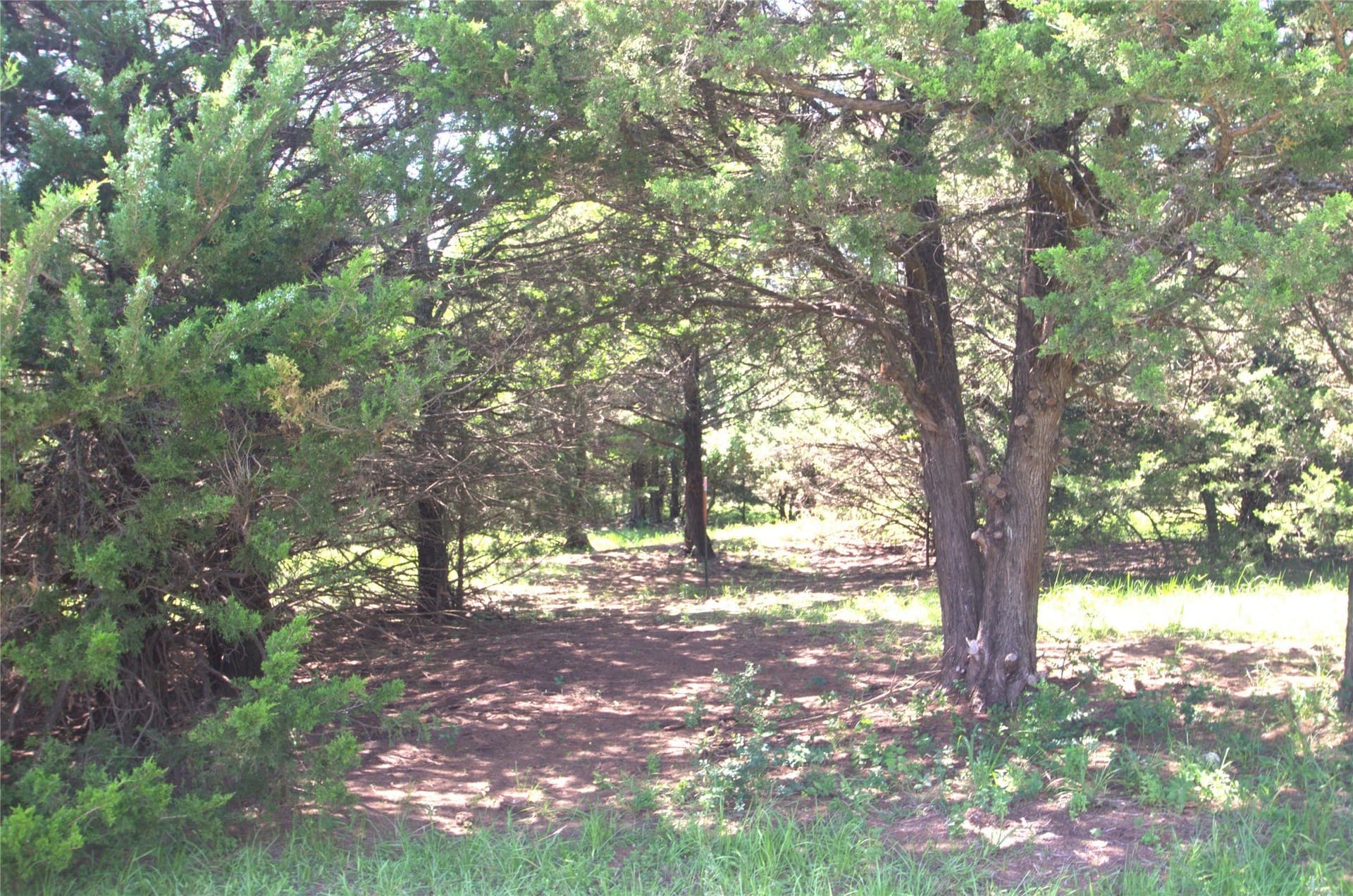 21.54 acres in Grayson County - photo 15