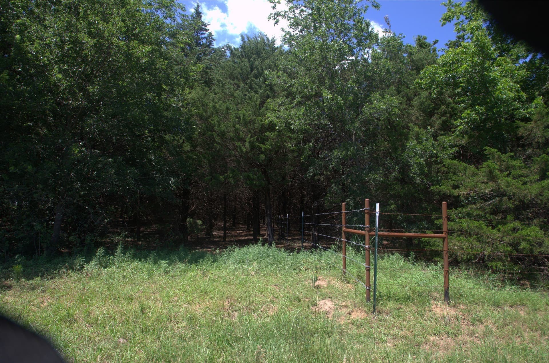 21.54 acres in Grayson County - photo 6
