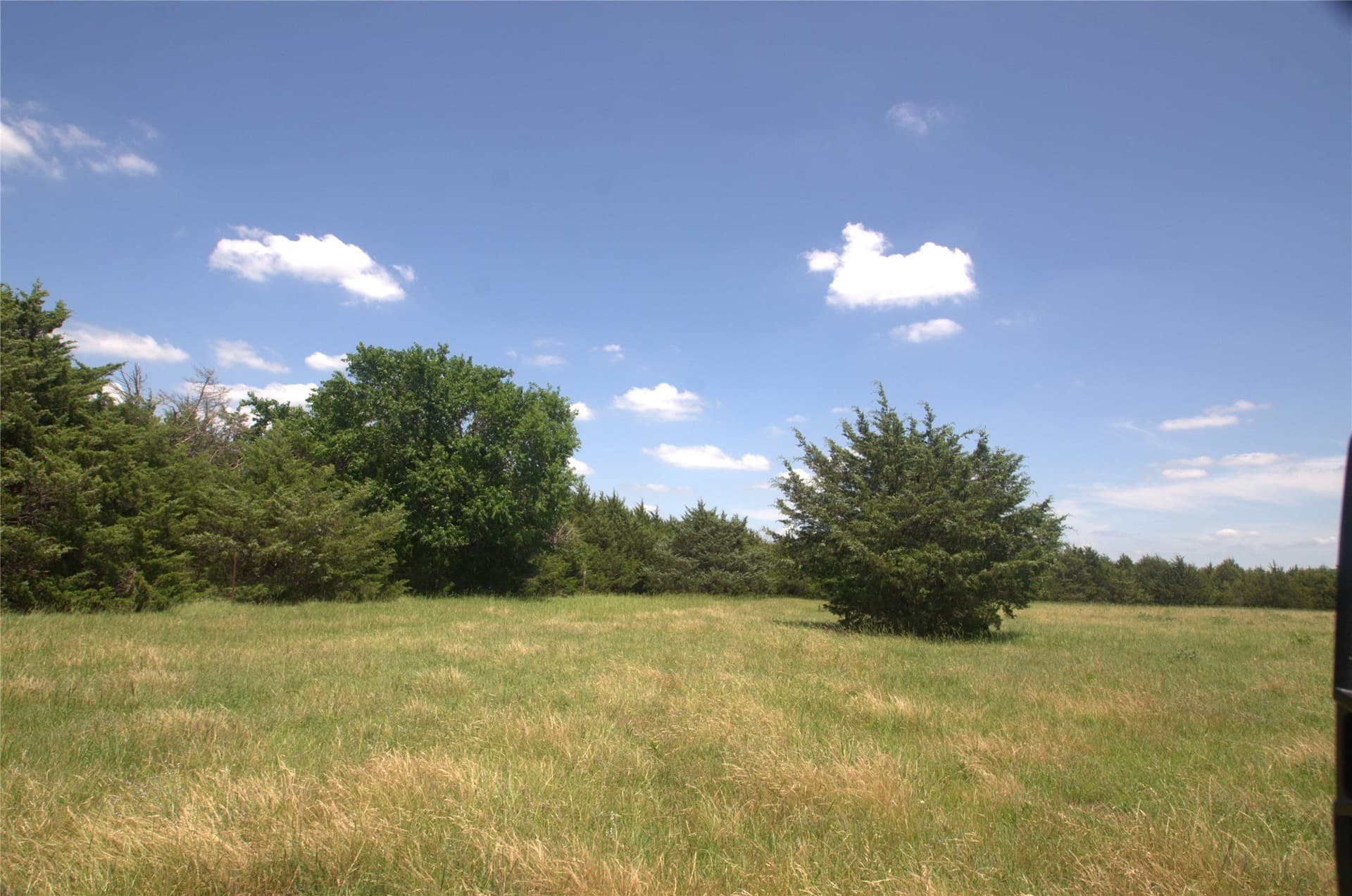 21.54 acres in Grayson County - photo 7