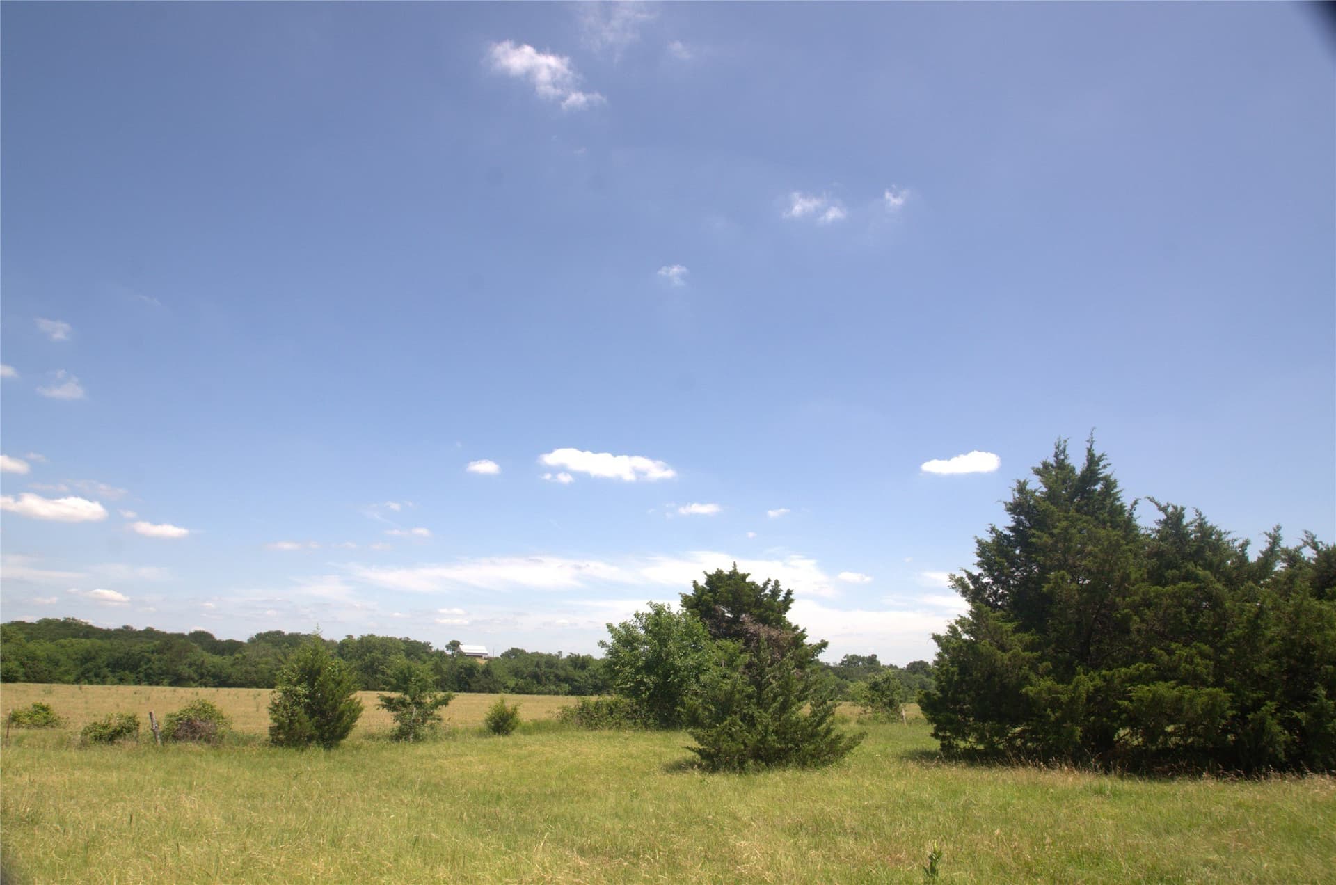 21.54 acres in Grayson County - photo 10