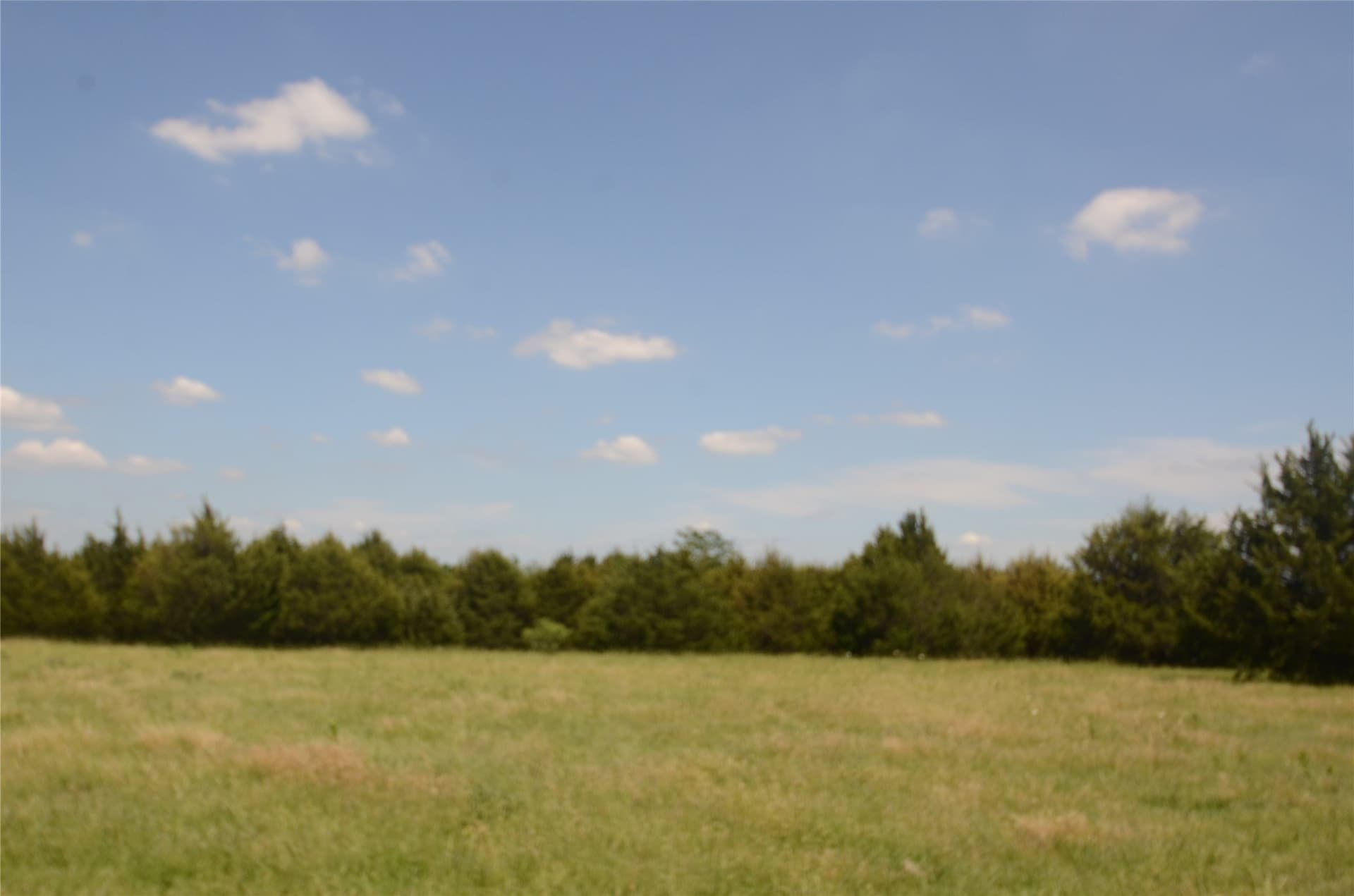 21.54 acres in Grayson County - photo 14