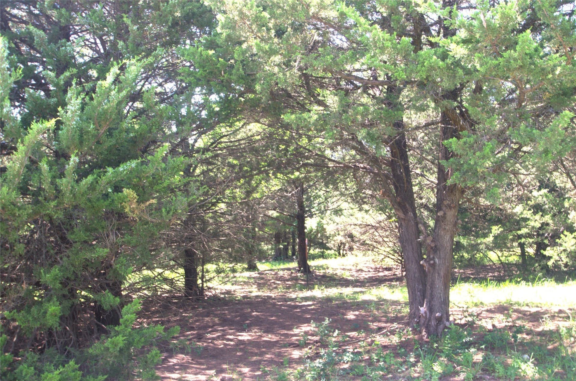 21.54 acres in Grayson County - photo 16