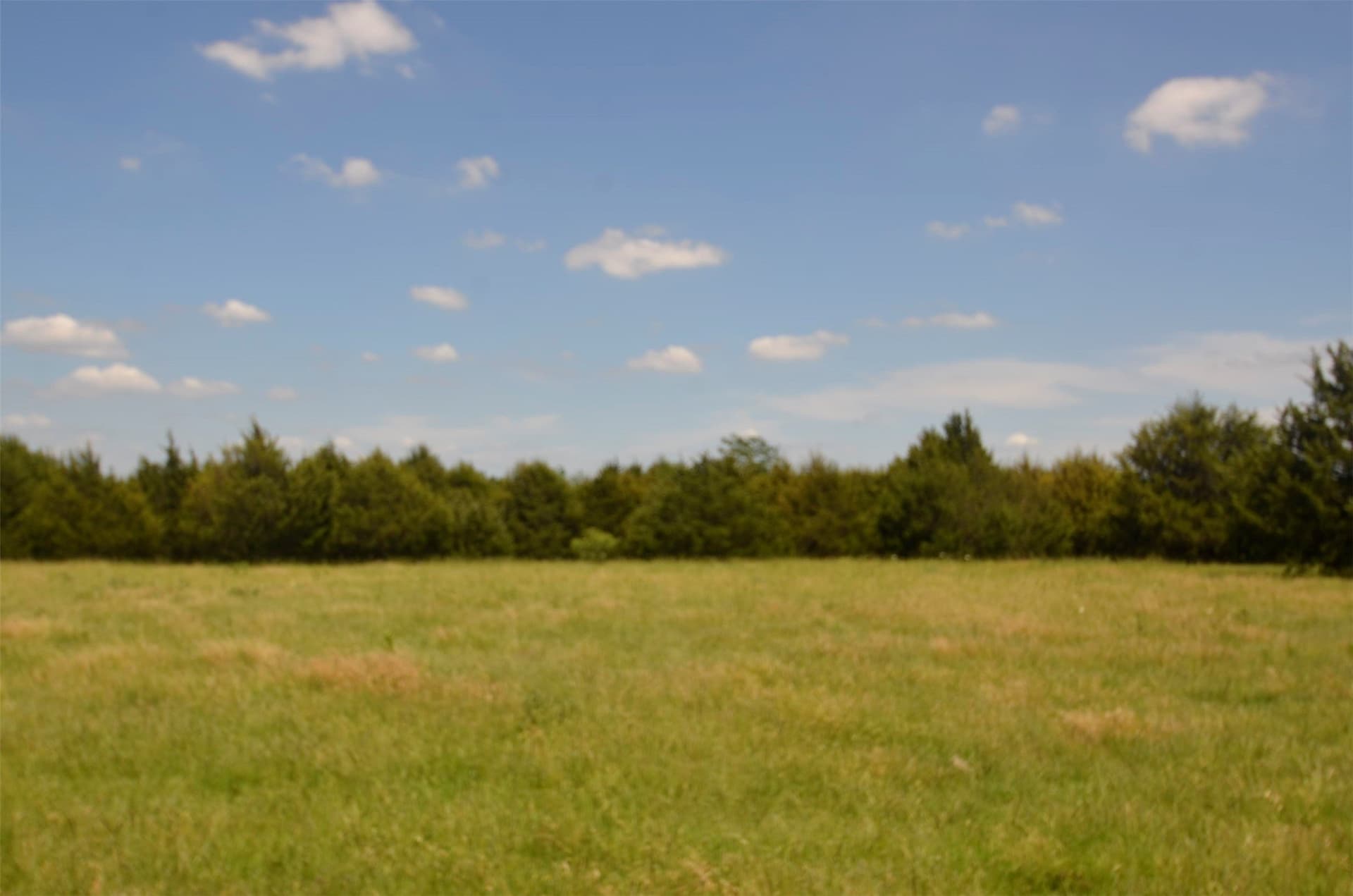 21.54 acres in Grayson County featured view