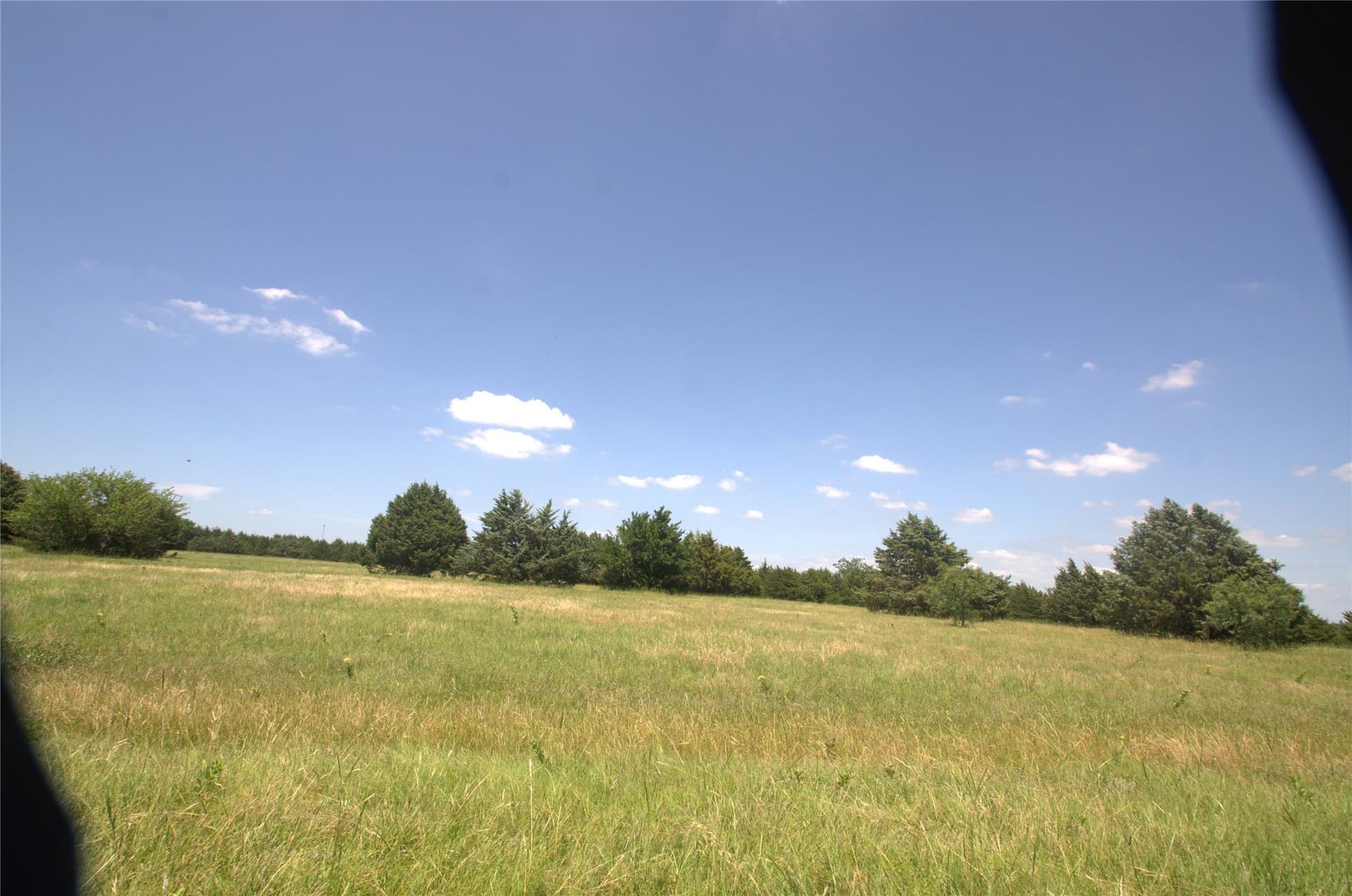 21.54 acres in Grayson County - photo 11
