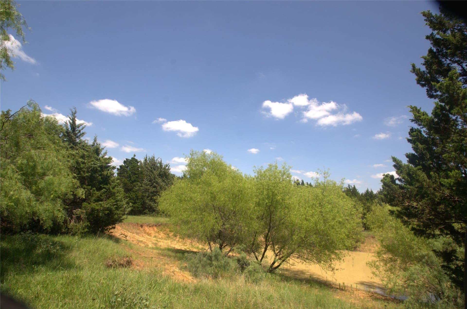21.54 acres in Grayson County - photo 9