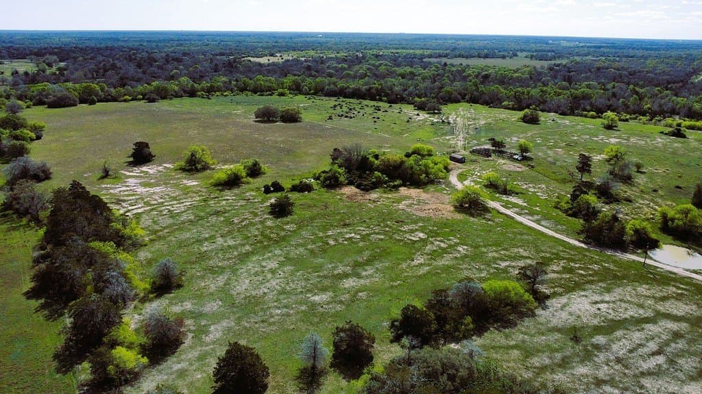 203 acres in Lavaca County featured view