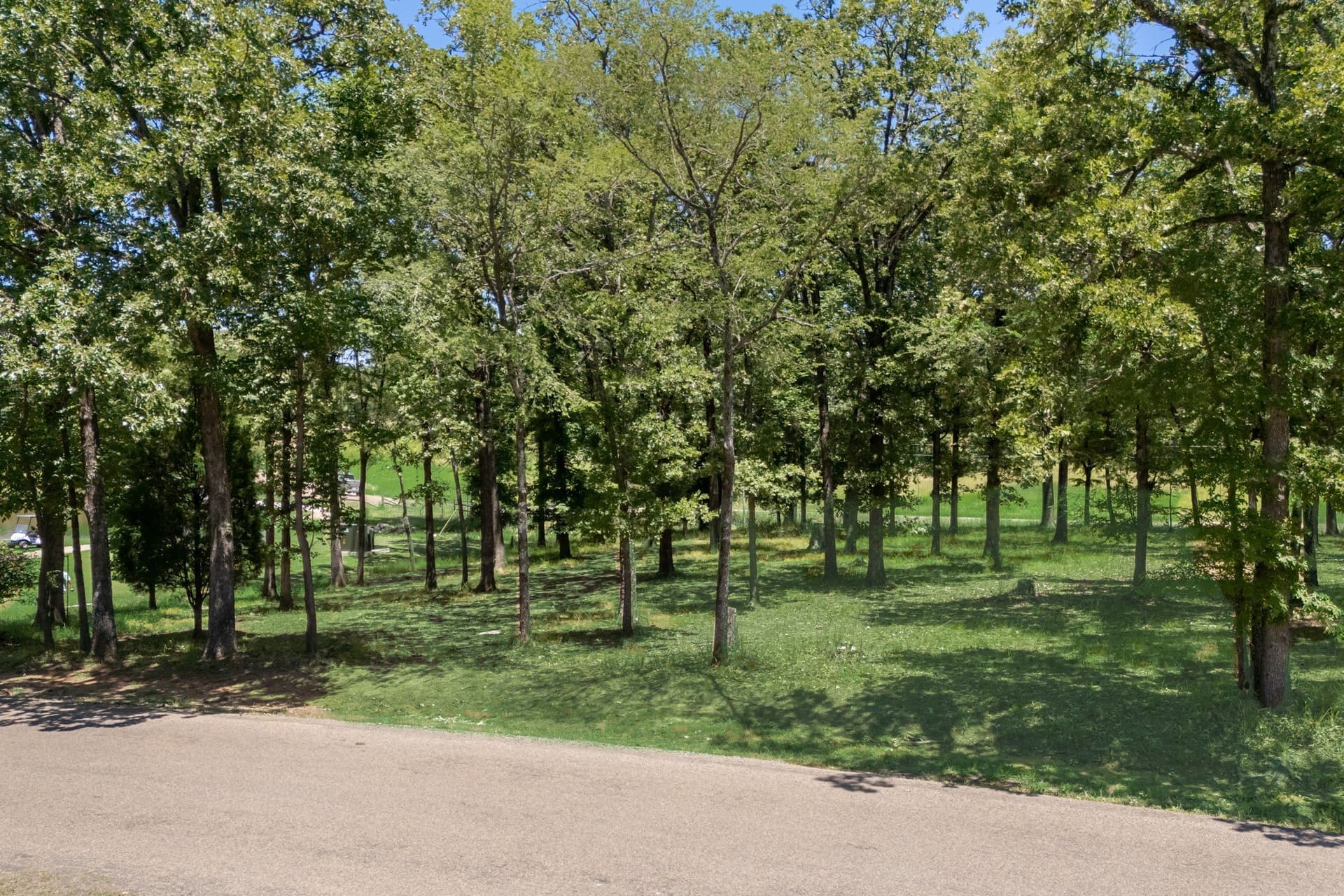 0.39 acres in Henderson County - photo 5