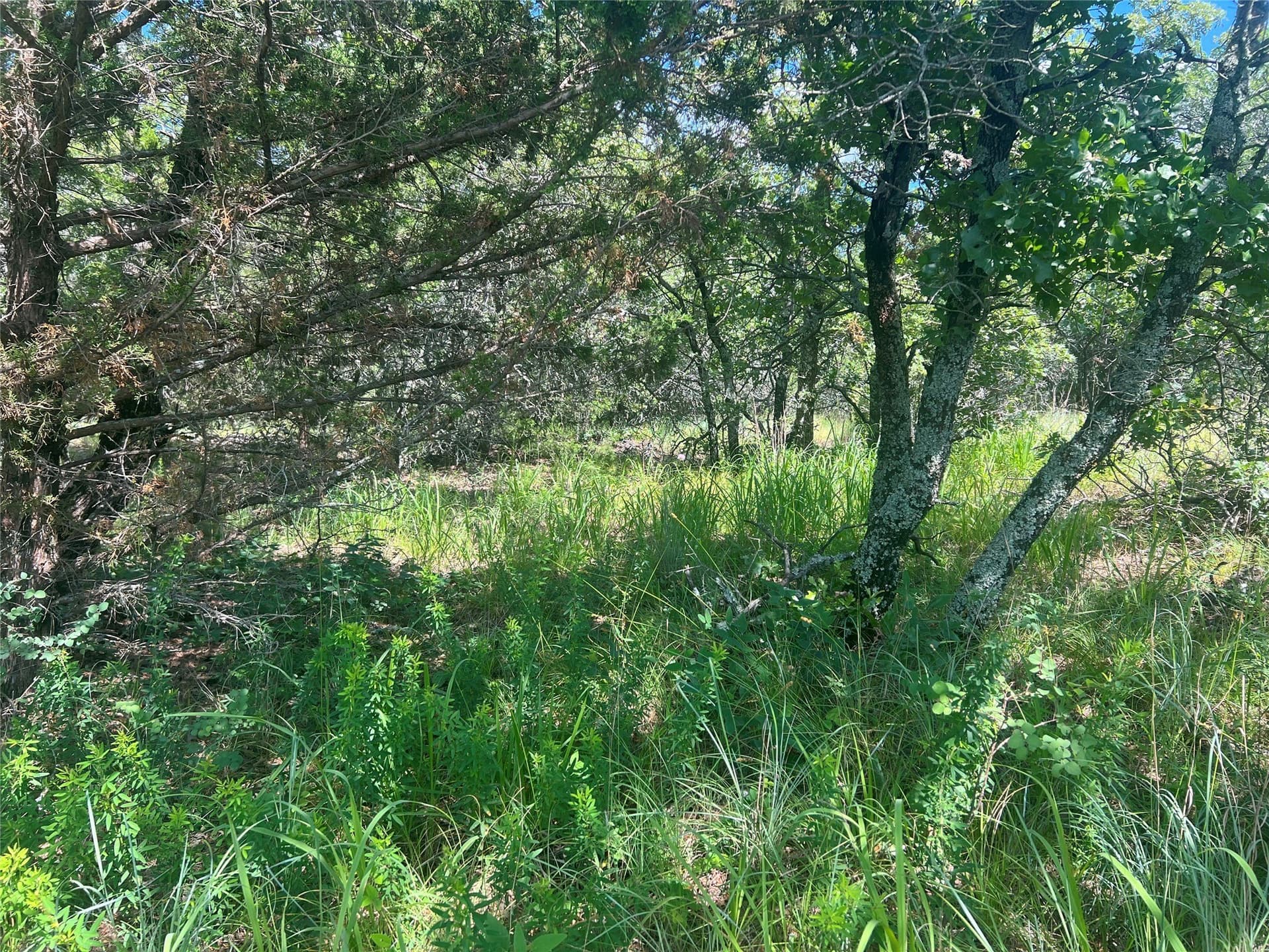2.01 acres in Montague County - photo 5