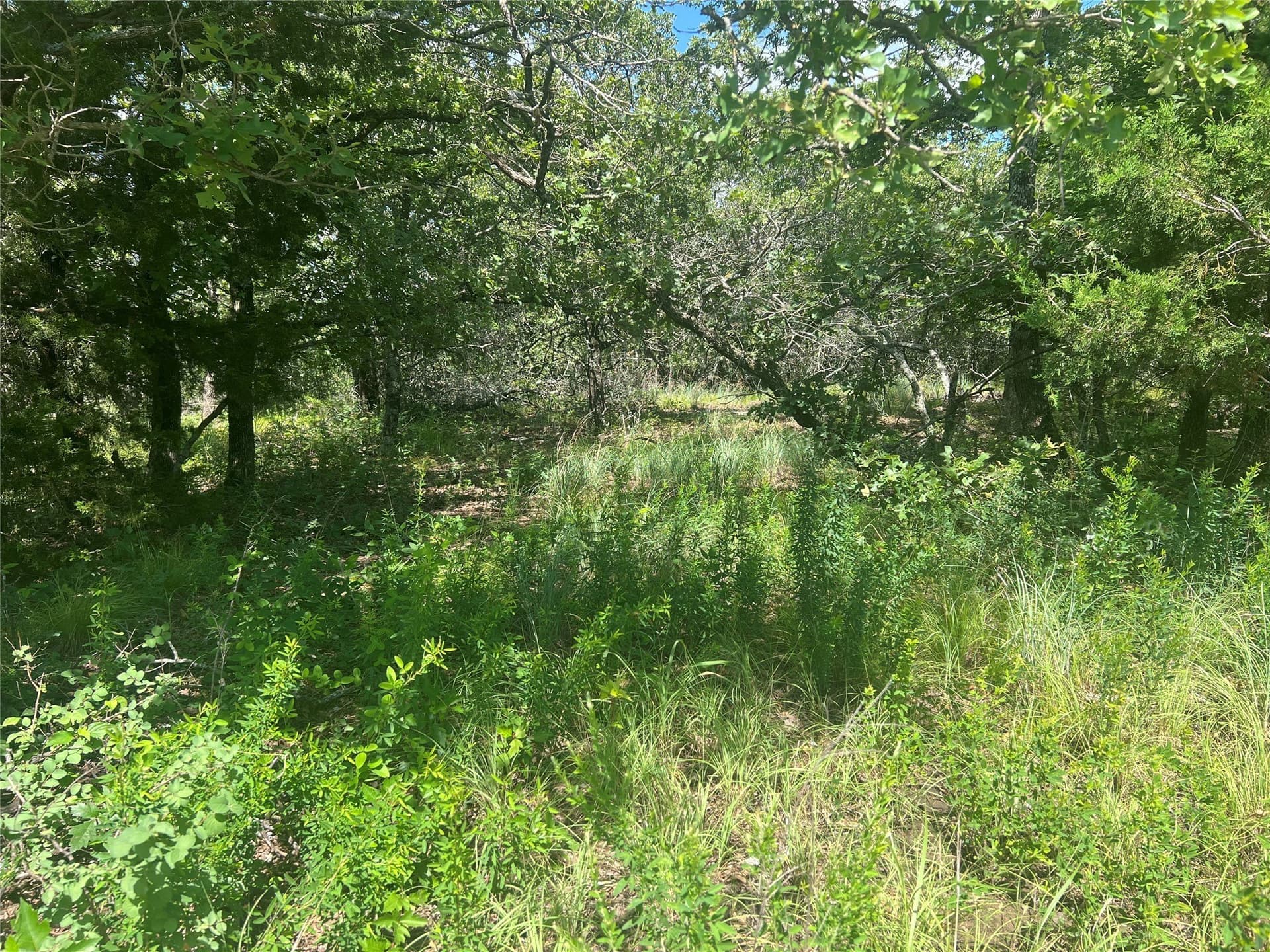 2.01 acres in Montague County - photo 4