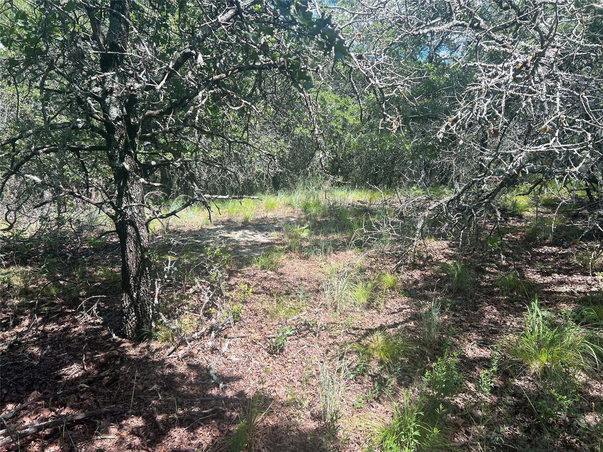 2.01 acres in Montague County - photo 6