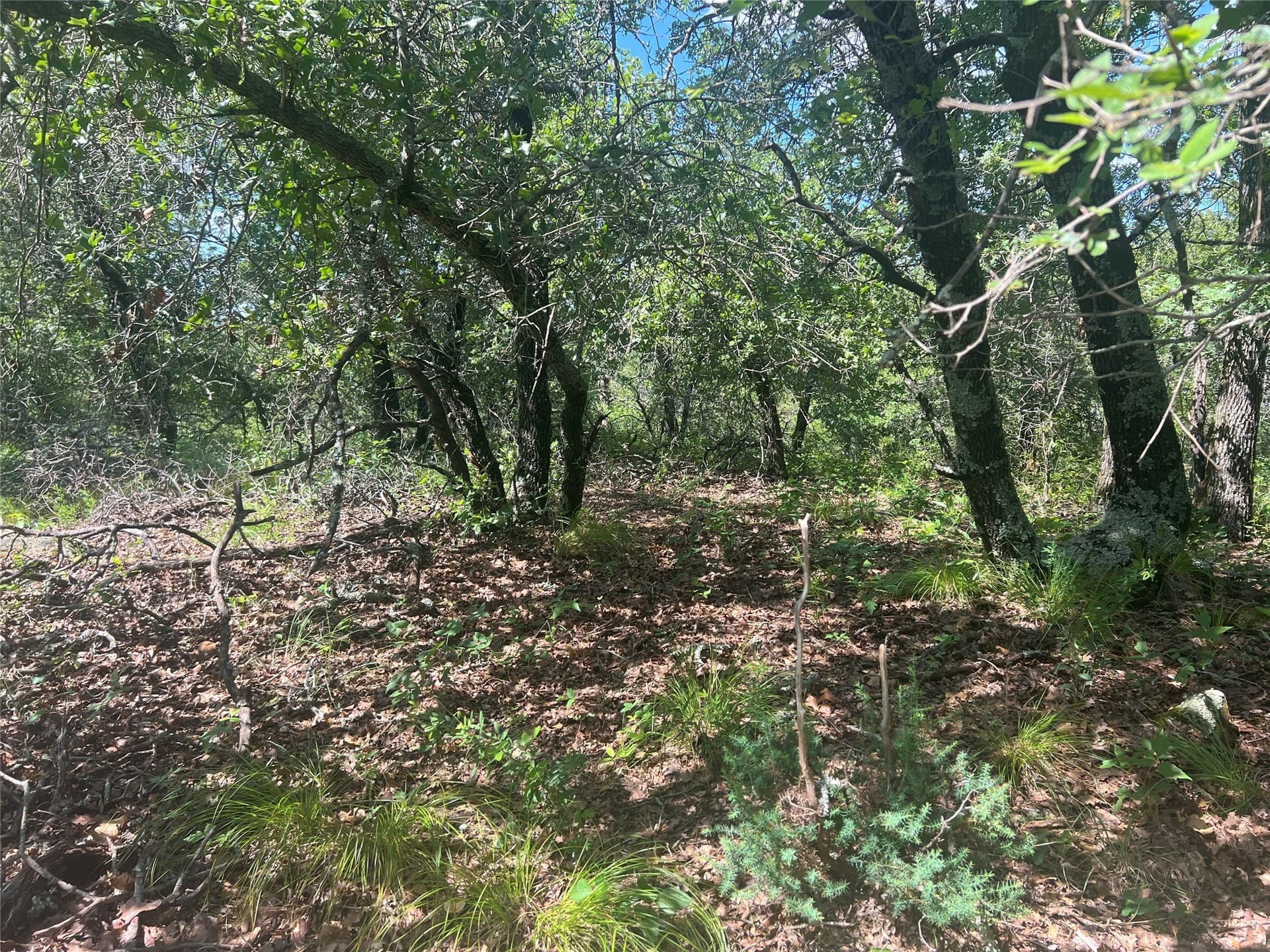 2.01 acres in Montague County - photo 11
