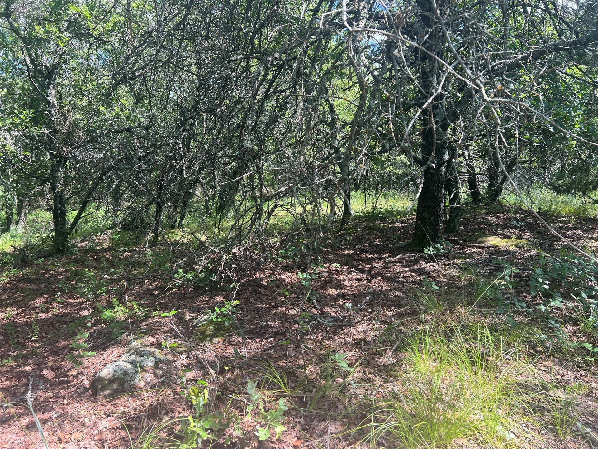 2.01 acres in Montague County - photo 10