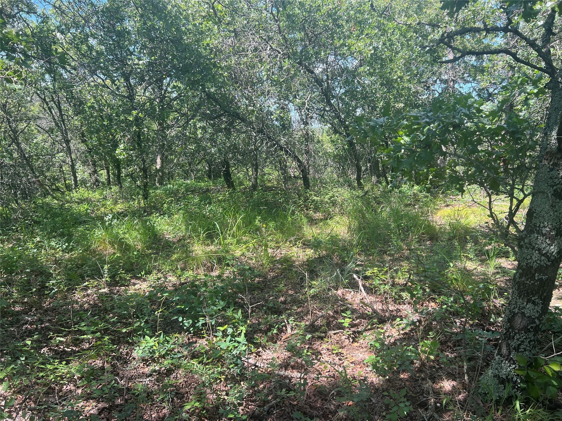 2.01 acres in Montague County - photo 7