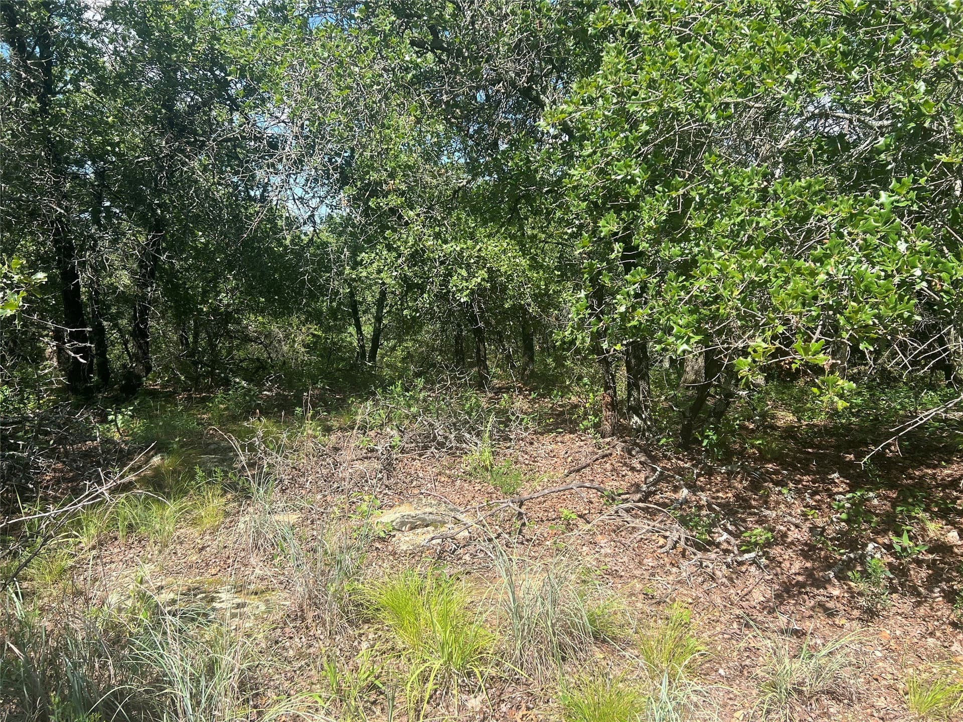 2.01 acres in Montague County - photo 9