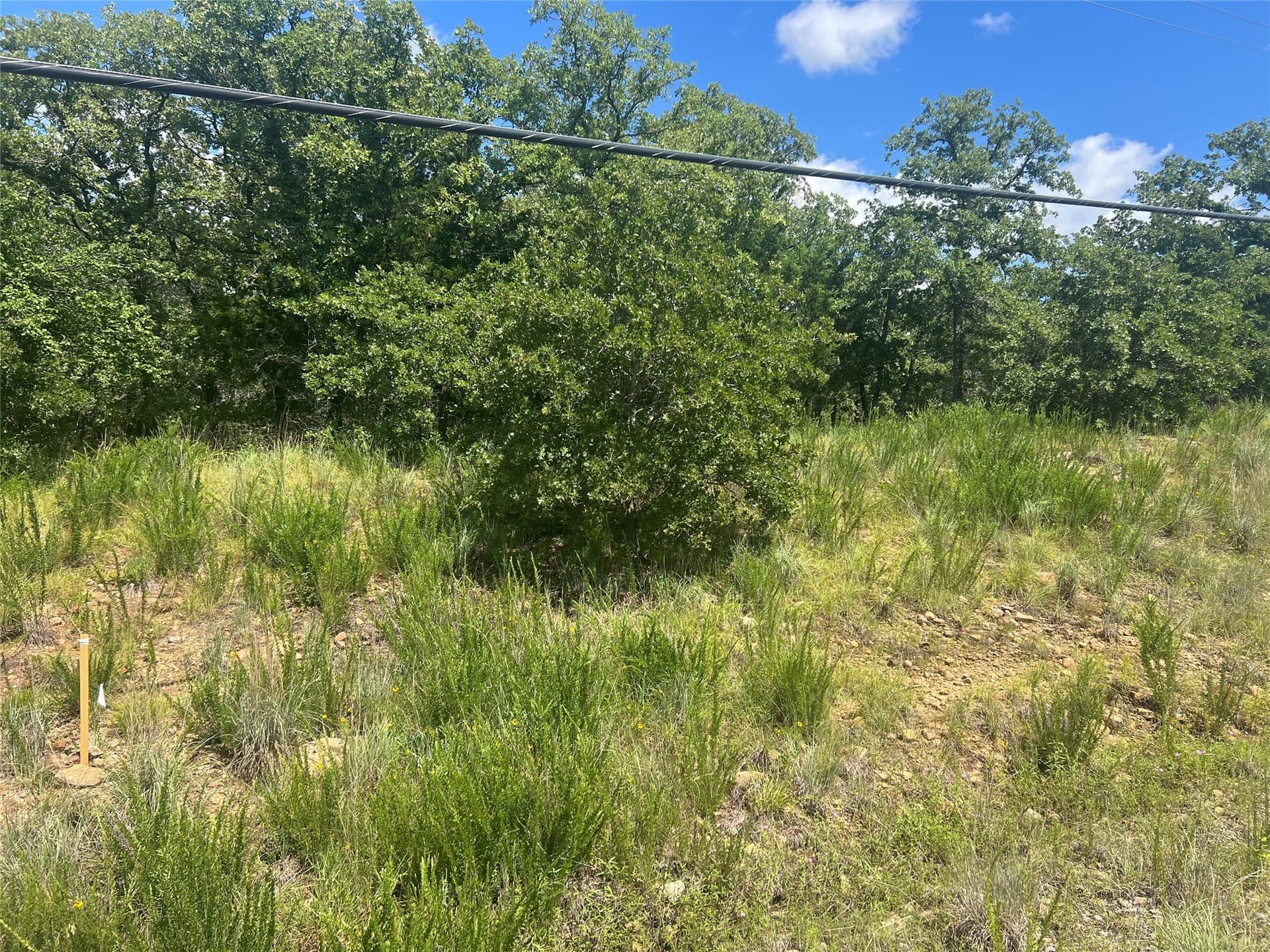 2.01 acres in Montague County - photo 3
