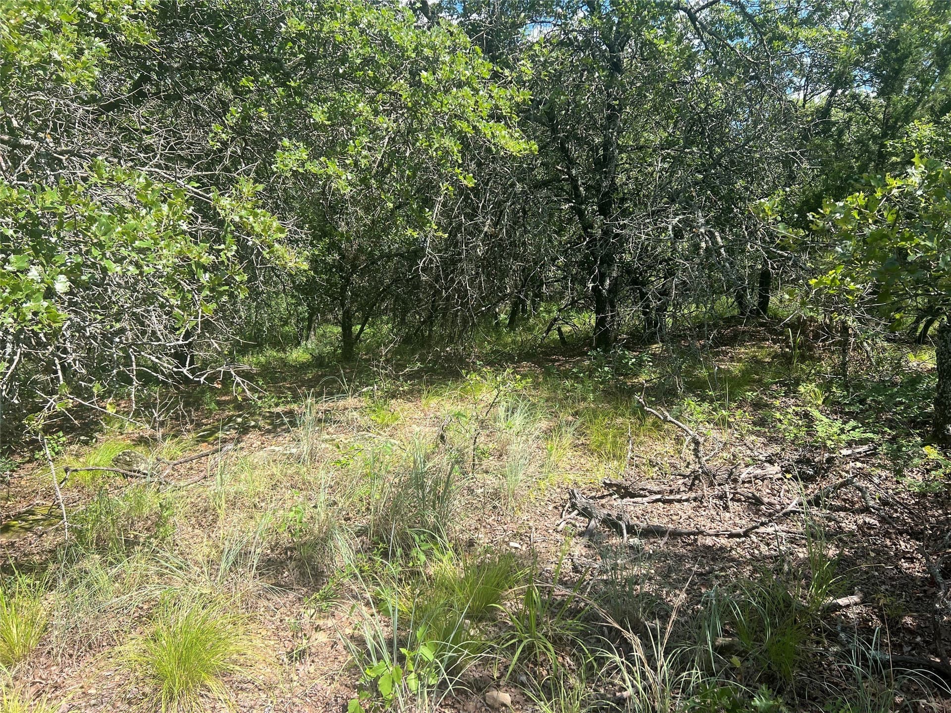 2.01 acres in Montague County - photo 8