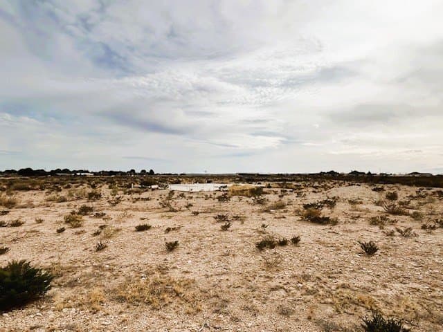 0.6 acres in Pecos County gallery image 4