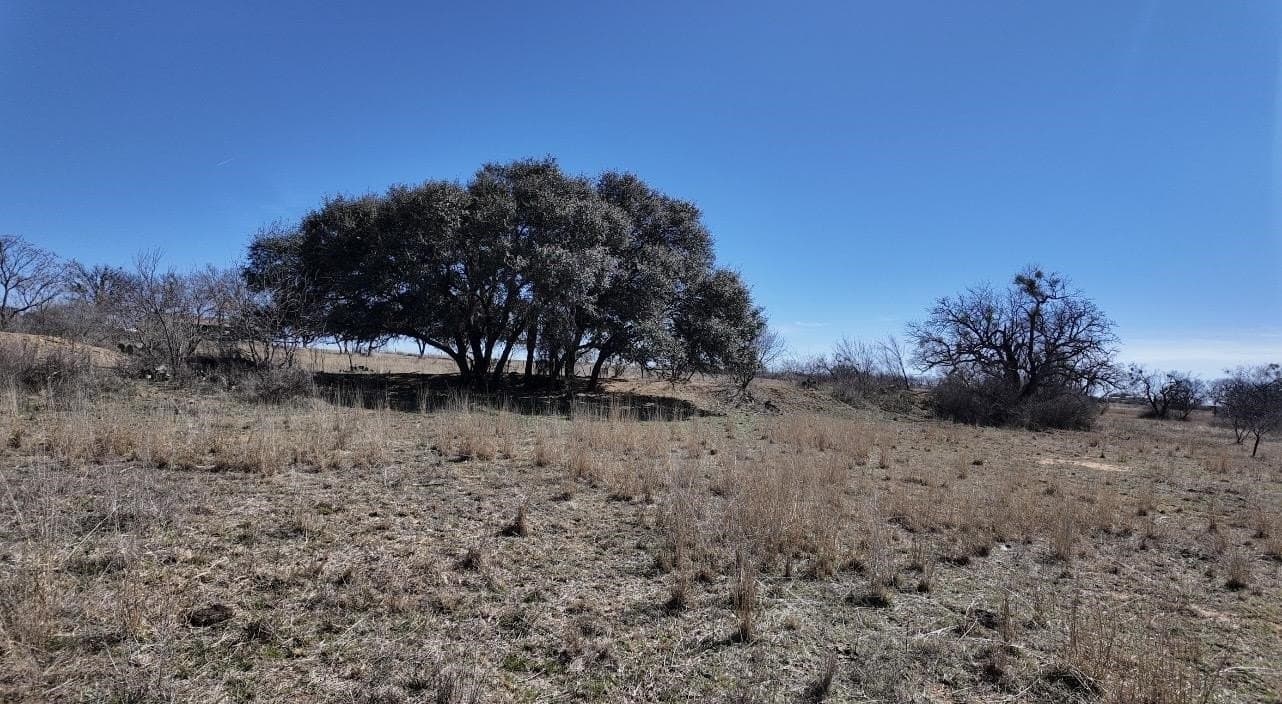 50 acres in San Saba County - photo 22
