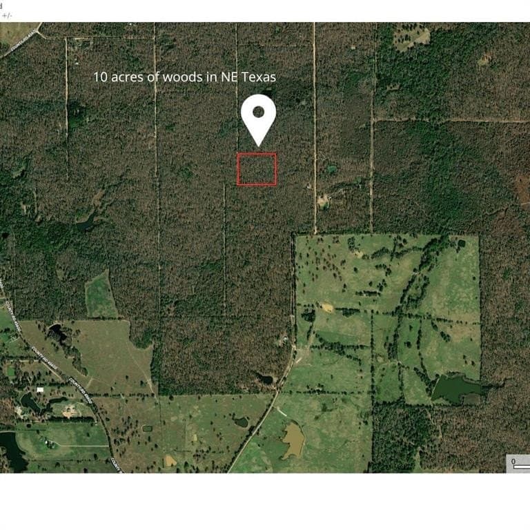 10.2 acres in Lamar County