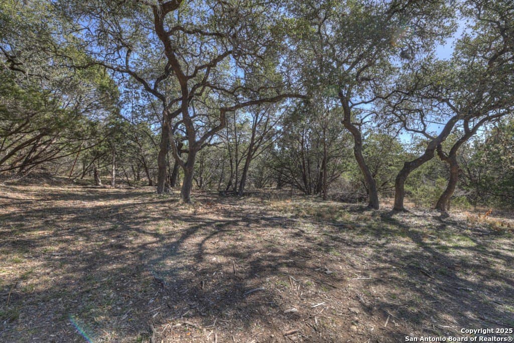 1.26 acres in Comal County - photo 25