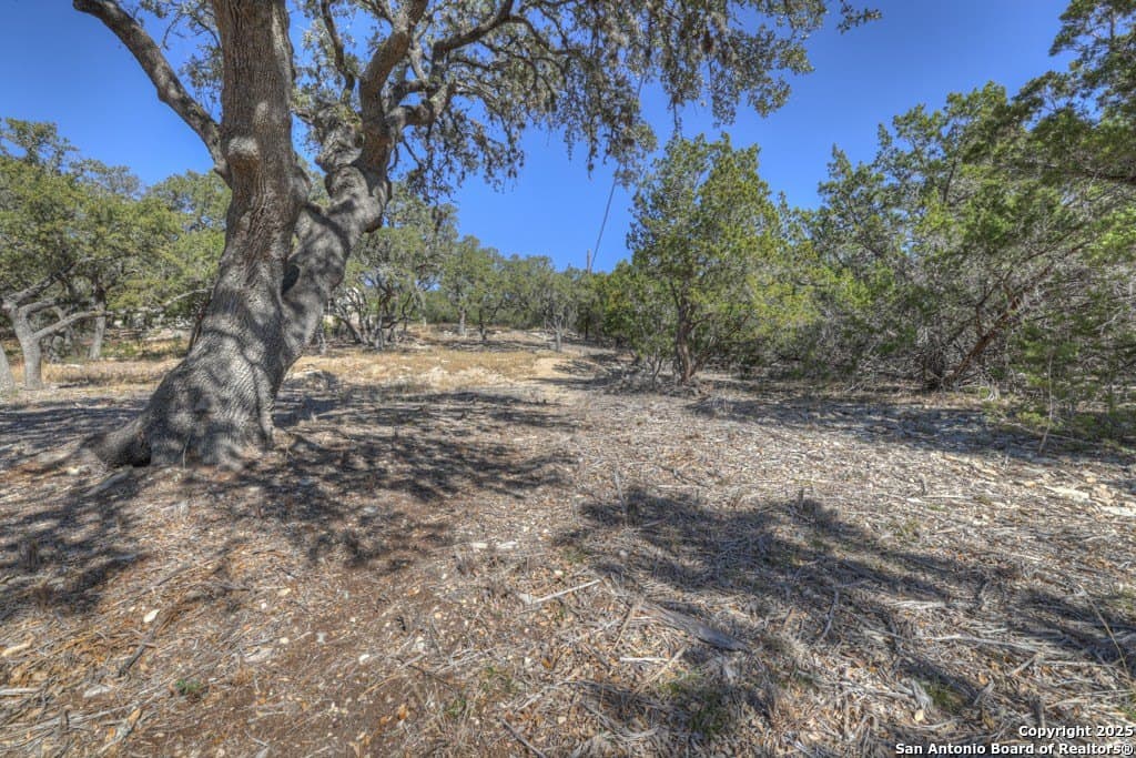 1.26 acres in Comal County - photo 30