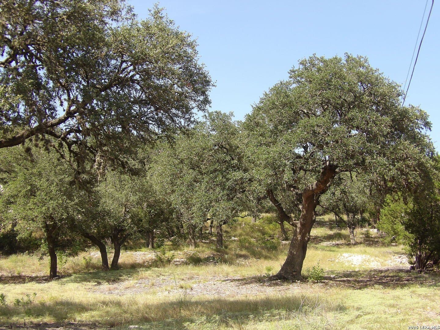 1.26 acres in Comal County - photo 37