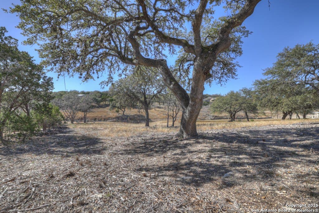 1.26 acres in Comal County - photo 29