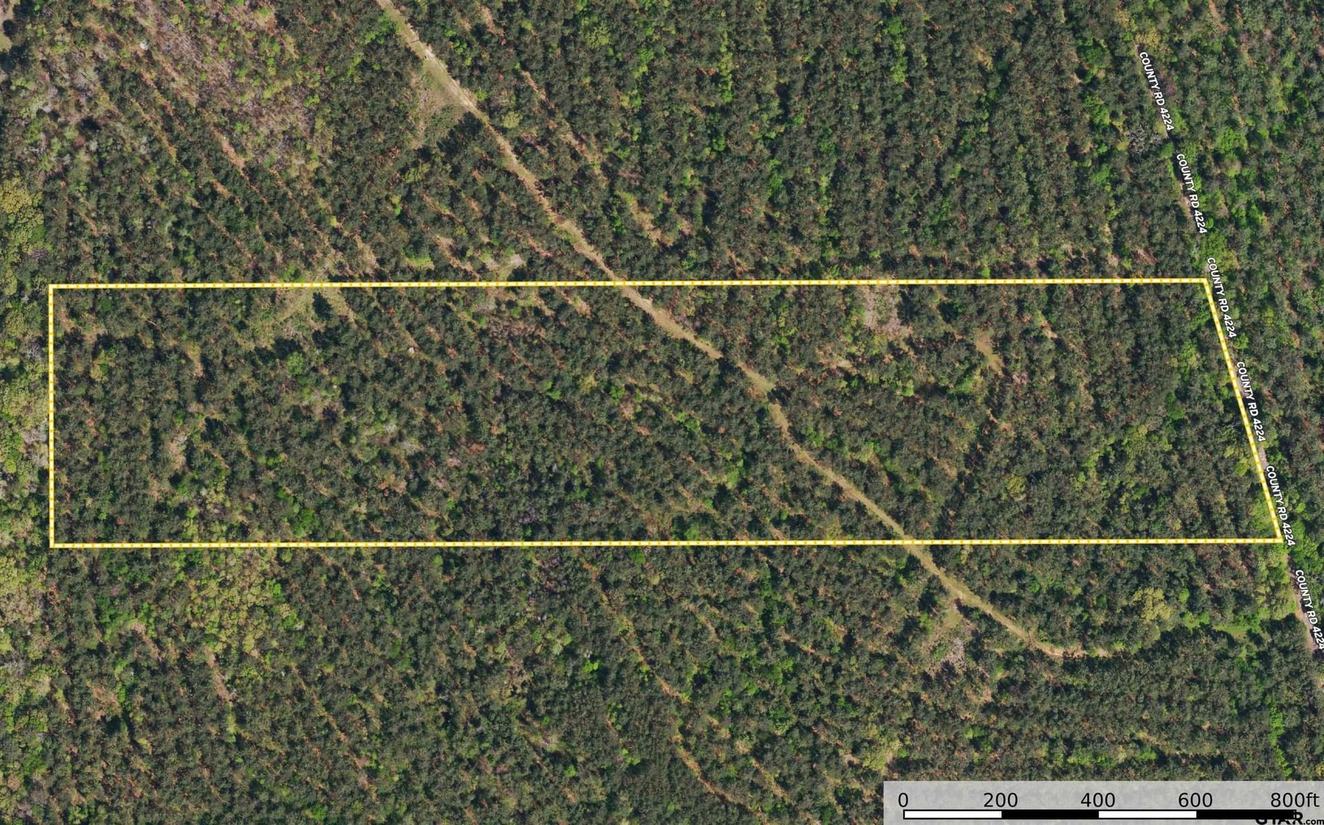 30 acres in Henderson County - photo 10