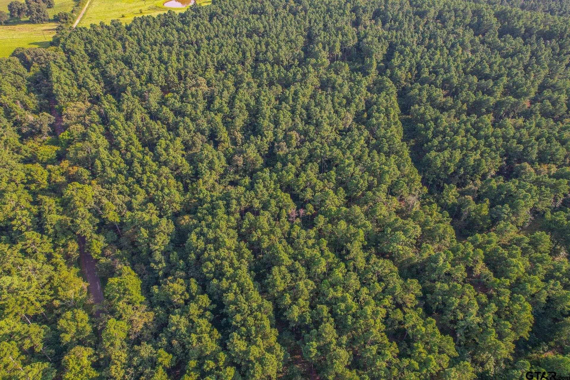 30 acres in Henderson County - photo 2