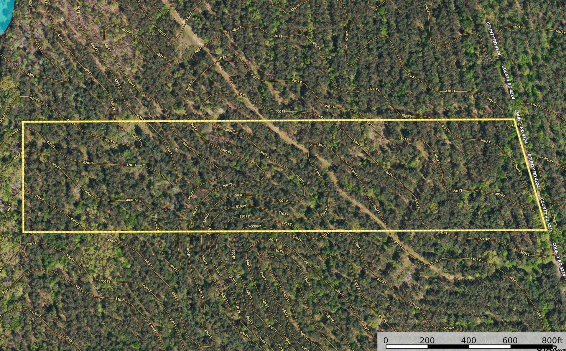 30 acres in Henderson County - photo 11