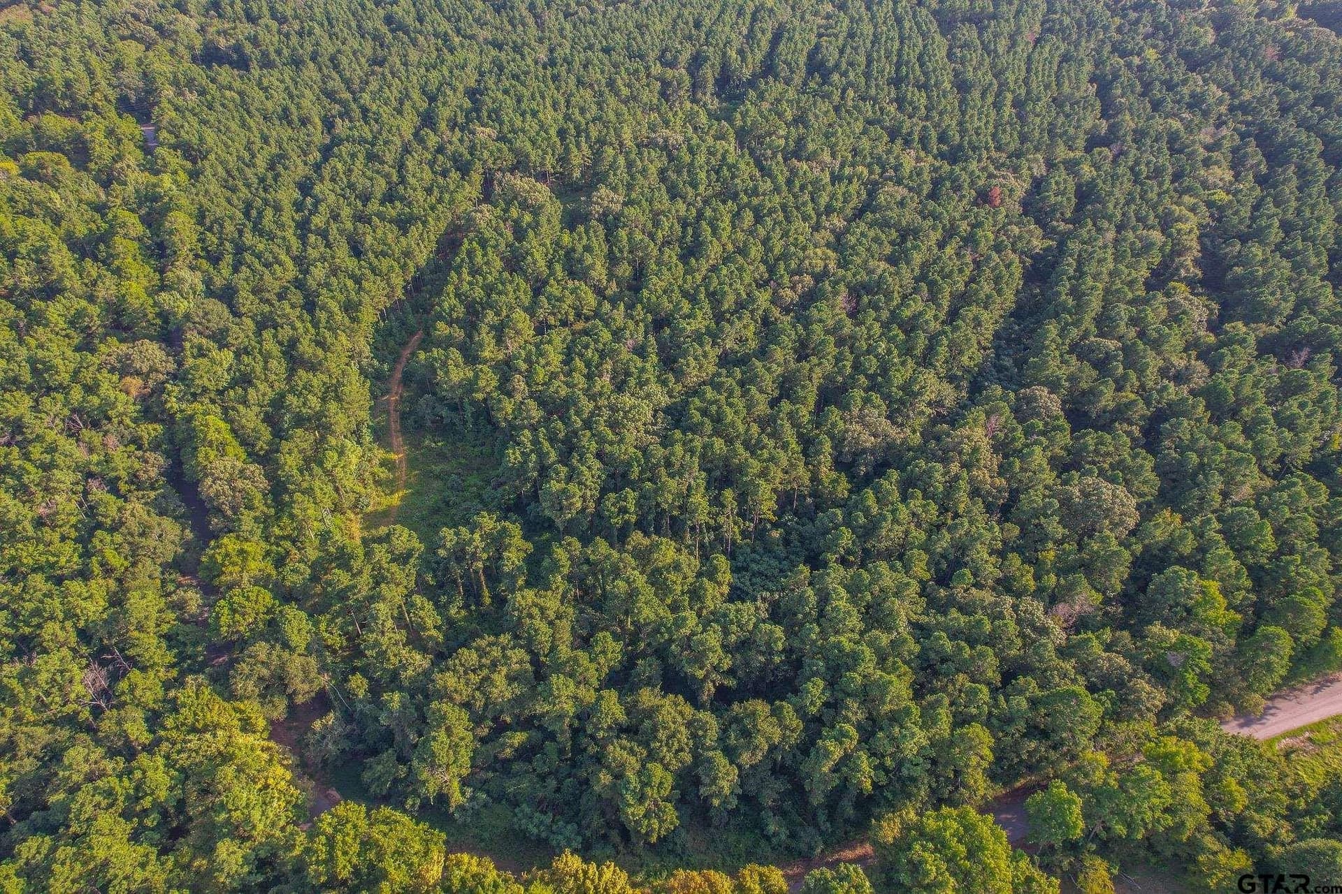 30 acres in Henderson County - photo 3
