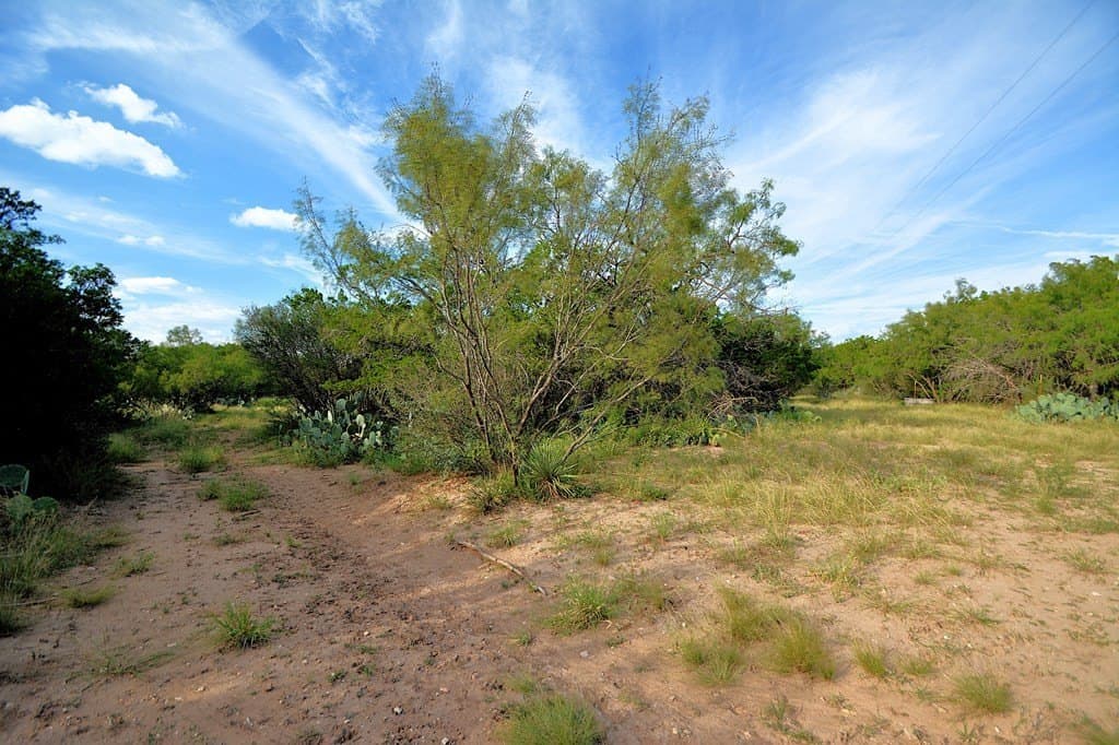 25 acres in Kimble County - photo 18