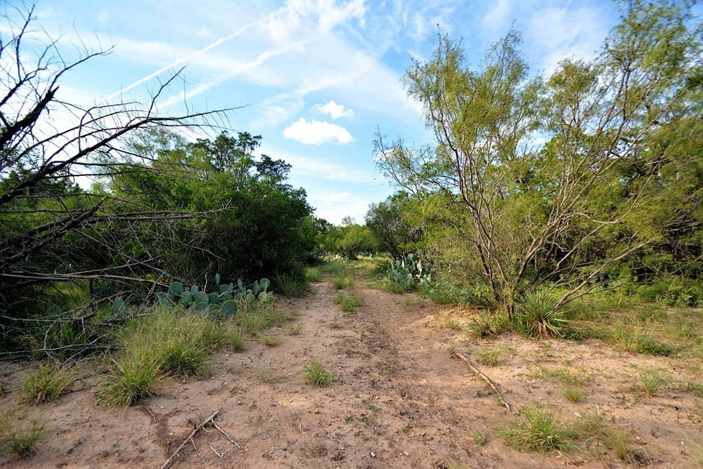 25 acres in Kimble County gallery image 3