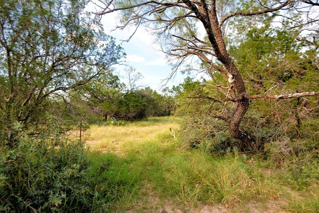 25 acres in Kimble County - photo 15