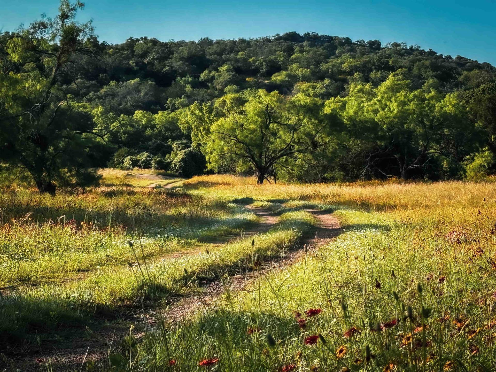 70.51 acres in Llano County - photo 39