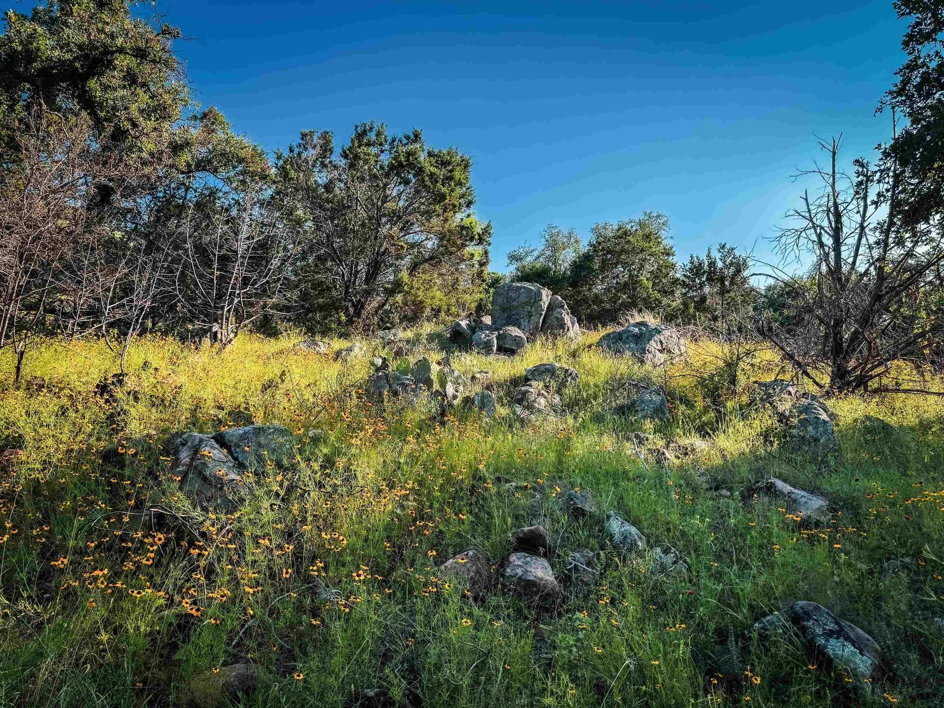 70.51 acres in Llano County - photo 40