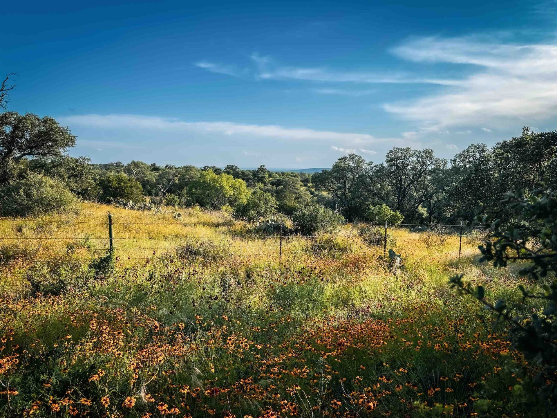 70.51 acres in Llano County - photo 36