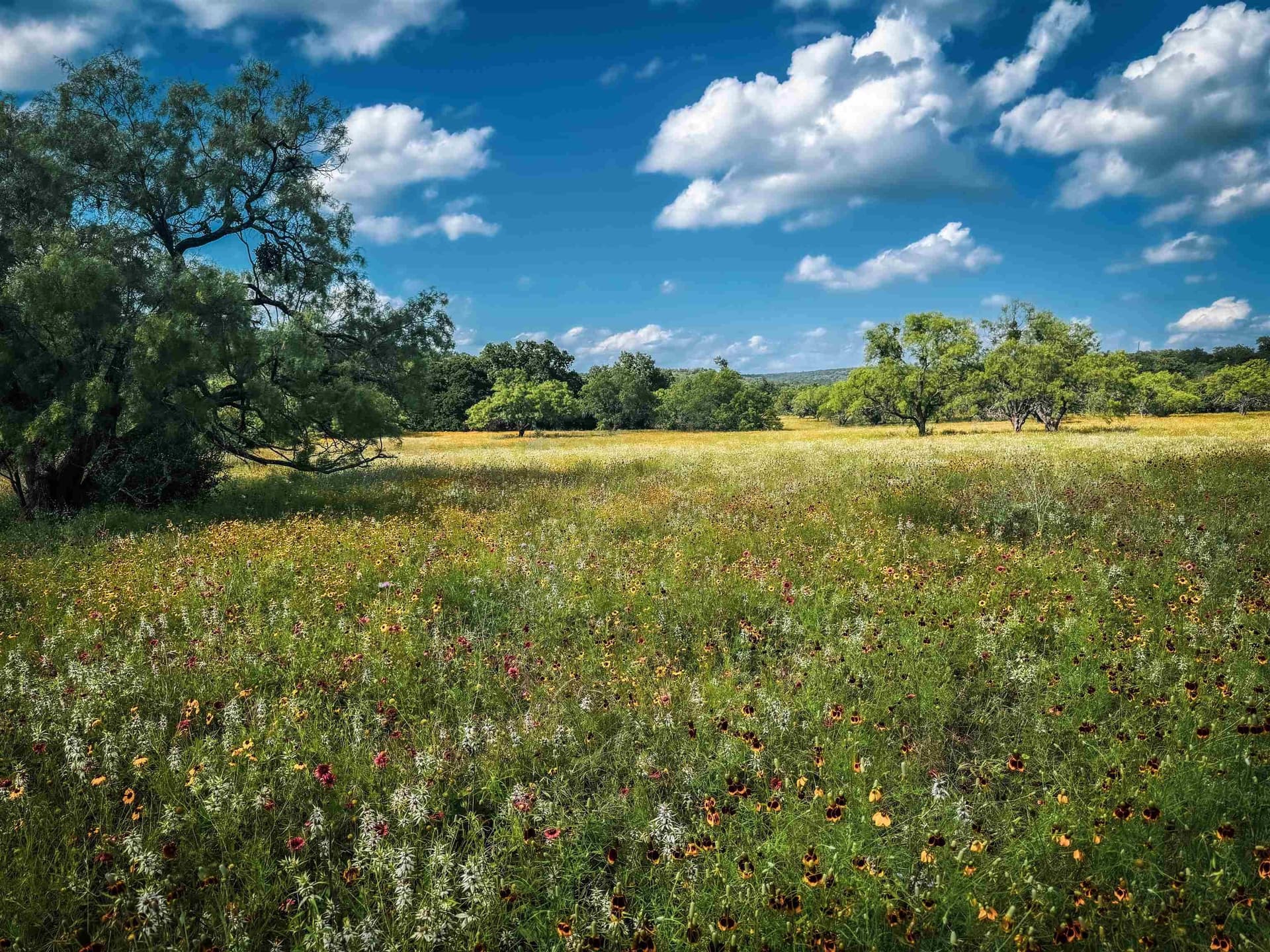 70.51 acres in Llano County - photo 38