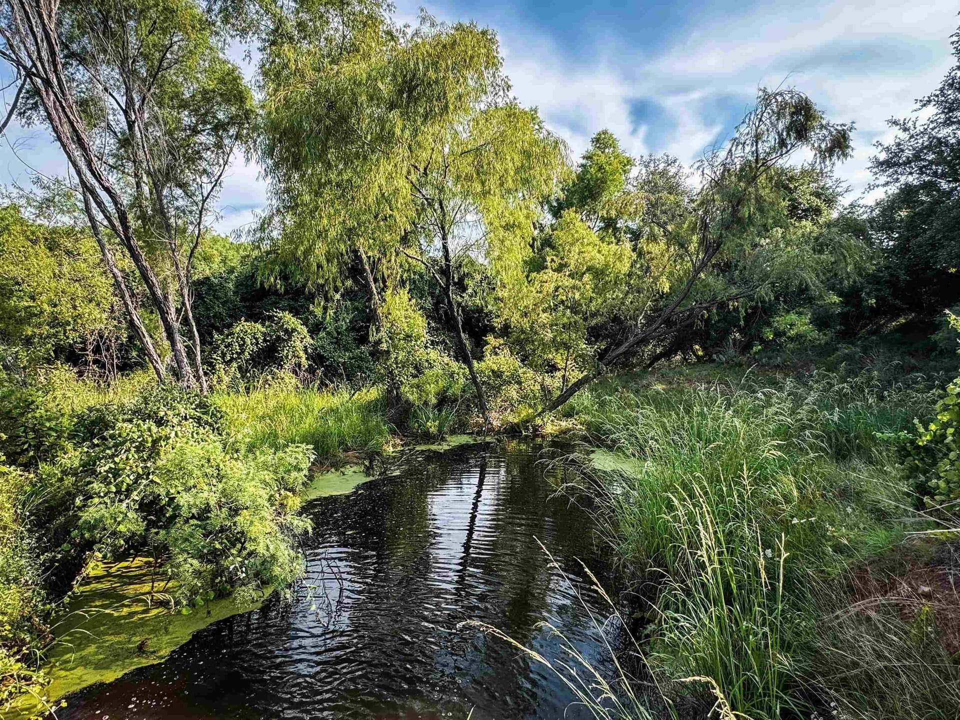 70.51 acres in Llano County - photo 41